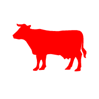 Beef