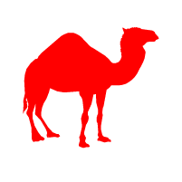 Camel