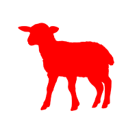 Lamb